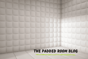 THE Padded Room psychology blog Dr Sarah Sarkis