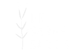 Dr. Sarah Sarkis