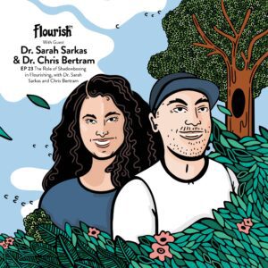 Dr Sarah Sarkis Flourish FM podcast Shadowboxing